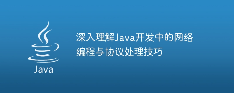 Java 개발의 네트워크 프로그래밍 및 프로토콜 처리 기술에 대한 심층적인 이해