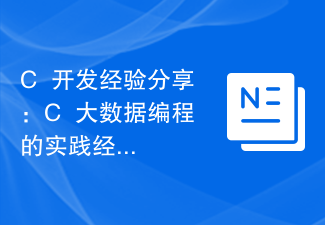 C++ development experience sharing: Practical experience in C++ big data programming