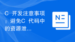 C++ 개발 고려 사항: C++ 코드에서 리소스 누수 방지