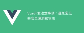 Vue 開発ノート: 一般的なセキュリティ脆弱性と攻撃を回避する