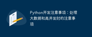 Python development considerations: Precautions when dealing with big data and high concurrency