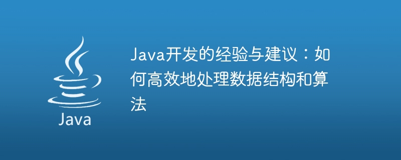 Java 개발에 대한 경험과 제안: 데이터 구조와 알고리즘을 효율적으로 다루는 방법