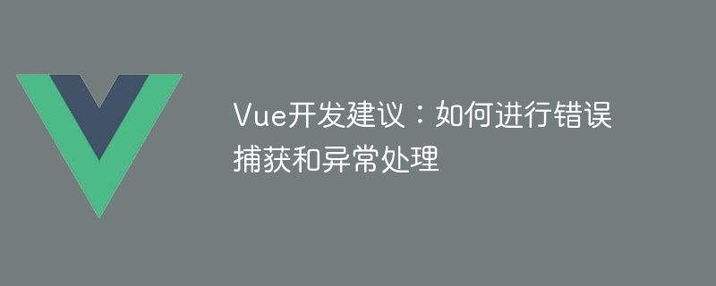 Vue 개발 조언: 오류 잡기 및 예외 처리 방법