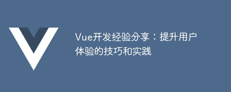 Vue 개발 경험 공유: 사용자 경험을 개선하기 위한 팁과 사례