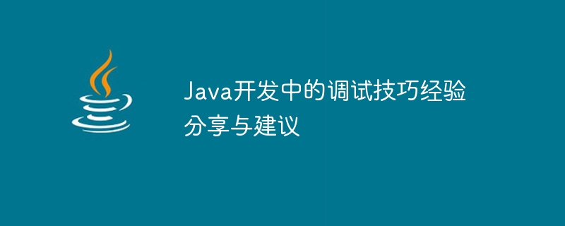 Java開發中的調試技巧經驗分享與建議