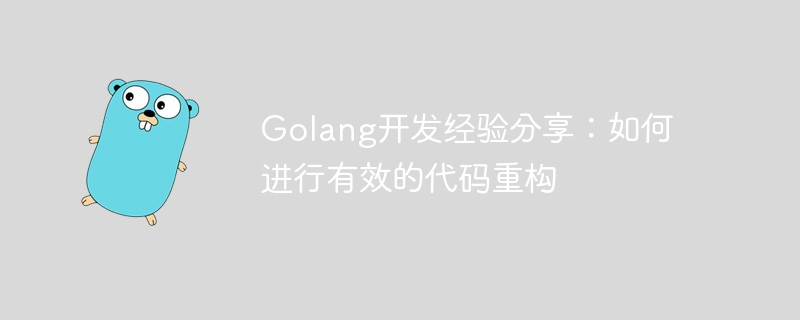 Golang 개발 경험 공유: 효과적인 코드 리팩토링을 수행하는 방법