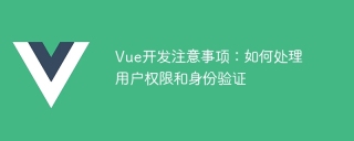 Vue 開発ノート: ユーザーの権限と認証を処理する方法