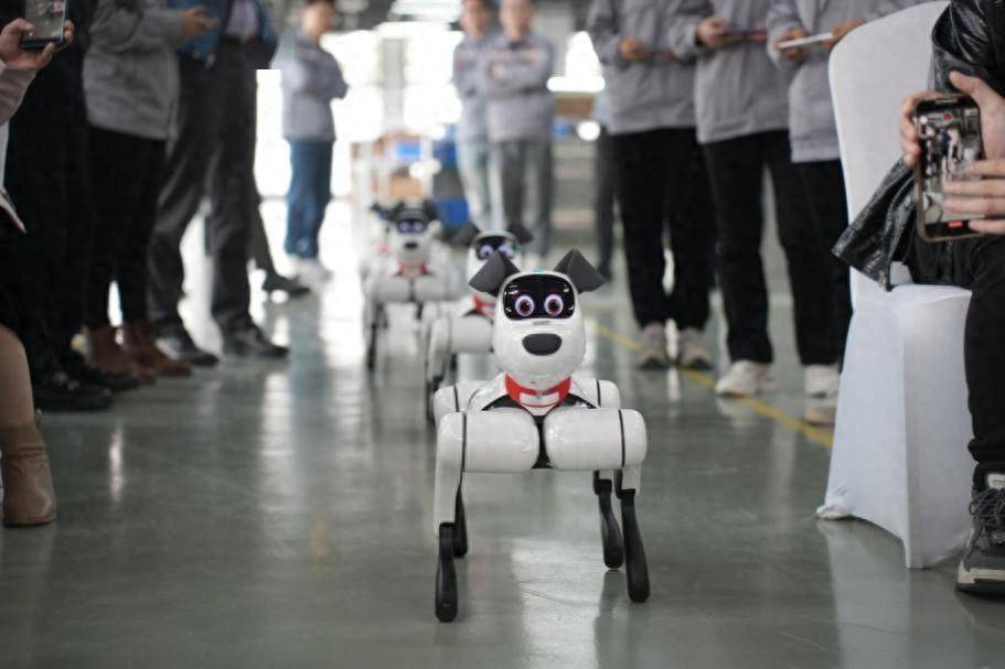When focusing on family scenes, what kind of new experience can robot dogs bring us?