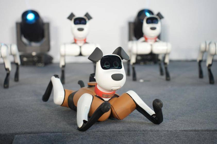 When focusing on family scenes, what kind of new experience can robot dogs bring us?
