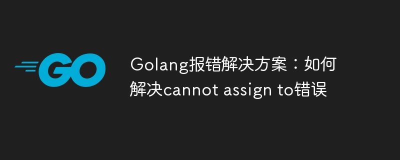Golang报错解决方案：如何解决cannot assign to错误