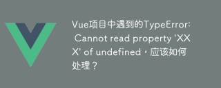 Vue项目中遇到的TypeError: Cannot read property \'XXX\' of undefined,应该如何处理?