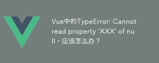 Vue中的TypeError: Cannot read property \'XXX\' of null,应该怎么办?