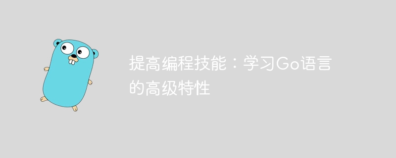 プログラミング スキルを向上させる: Go 言語の高度な機能を学びます