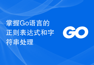 Kuasai ungkapan biasa dan pemprosesan rentetan dalam bahasa Go
