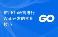 使用Go语言进行Web开发的实用技巧