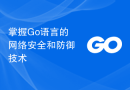 掌握Go语言的网络安全和防御技术
