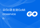 从Go语言到GoMicroservices：学习微服务的实践