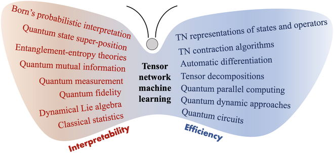 Summary of the collaboration between the National University of Science and Technology and the First Normal University: Revealing how white box” tensor networks can improve the interpretability and efficiency of quantum machine learning