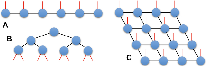 國科大&首師大合作綜述：揭示「白盒子」張量網路如何提升量子機器學習的可解釋性和效率