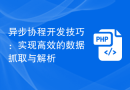 异步协程开发技巧：实现高效的数据抓取与解析