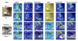 更深层的理解视觉Transformer, 对视觉Transformer的剖析