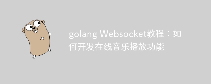 golang Websocket教程：如何开发在线音乐播放功能