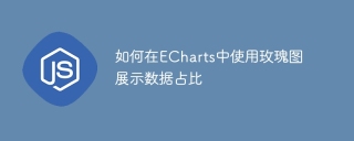 如何在echarts中使用玫瑰图展示数据占比