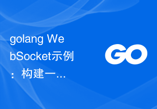 golang WebSocket示例：构建一个简单的聊天应用