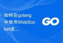 如何在golang中使用WebSocket进行实时数据更新