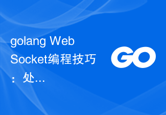 golang WebSocket プログラミングのヒント: 同時接続の処理