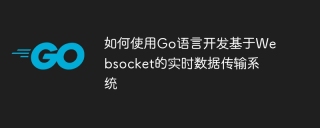 How to use Go language to develop a real-time data transmission system based on Websocket