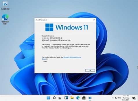 Legen Sie den Download-Pfad für Win11 fest