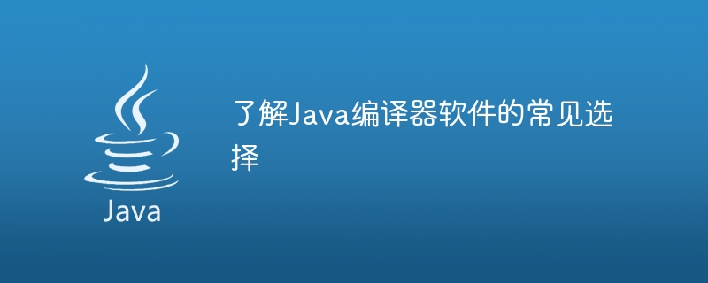 了解Java编译器软件的常见选择