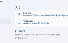 Win11 安卓子系统 WSA 2303 发布全新更新: 引入首次支持的画中画模式