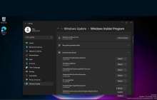 引入试验性功能 / 特性的 Win11 系统设置