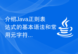 介绍Java正则表达式的基本语法和常用元字符