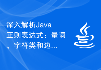 Eine eingehende Analyse regulärer Java-Ausdrücke: Syntax von Quantoren, Zeichenklassen und Grenzübereinstimmung