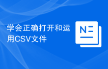 学会正确打开和运用CSV文件
