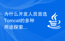 为什么开发人员首选Tomcat的多种用途探索？