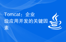 Tomcat：企业级应用开发的关键因素