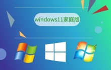 win11家庭版与专业版比较：特点及差异解析