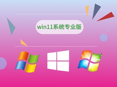 win11家庭版和专业版的区别介绍