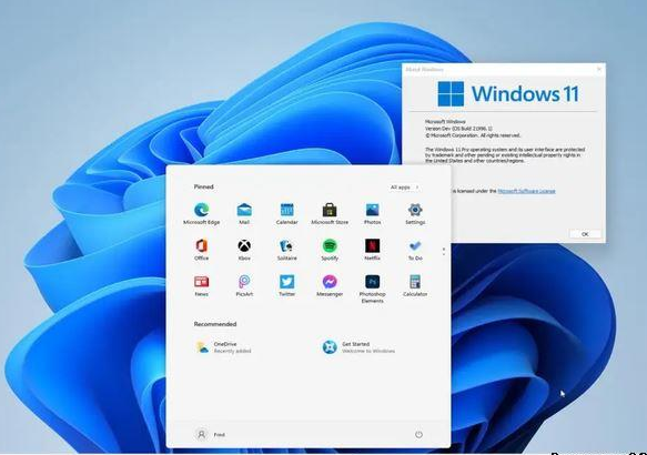 The differences between win11 enterprise version and home version