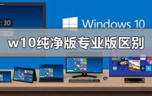 W10纯净版和专业版之间有哪些不同？