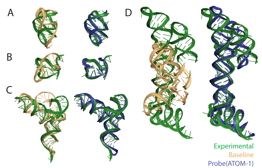 Breakthrough in RNA drug discovery, first RNA basic model reveals measurement technology at the level of more than 1 billion nucleotides