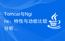 Tomcat与Nginx：特性与功能比较分析