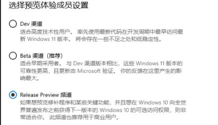 推荐一份详细介绍win11渠道选择的指南