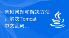 Frequently Asked Questions and Solutions: Solving Tomcat Chinese Garbled Problems