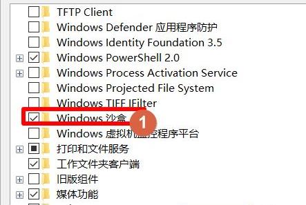 win101903沙盒啟動指南