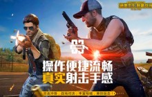 如何在Windows 11上玩刺激战场